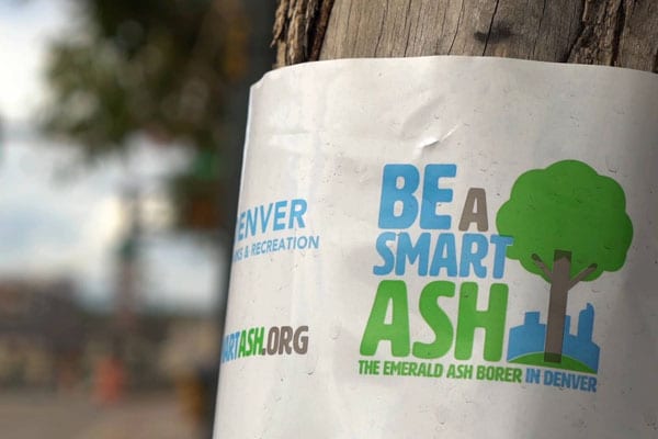 Denver Parks & Recreation | Be a Smart Ash Integrated Campaign